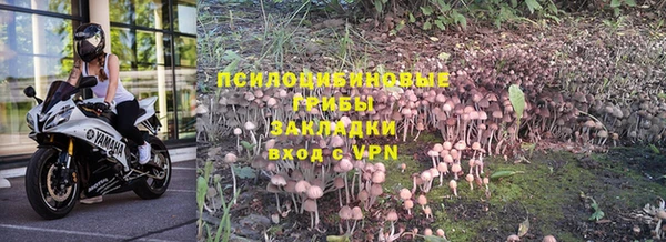 тгк Арсеньев