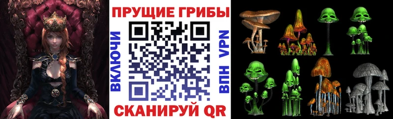 Галлюциногенные грибы мицелий mega как зайти Мурино